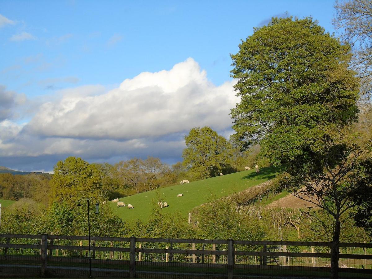 Gwilym'S Stable Apartment Builth Wells Luaran gambar
