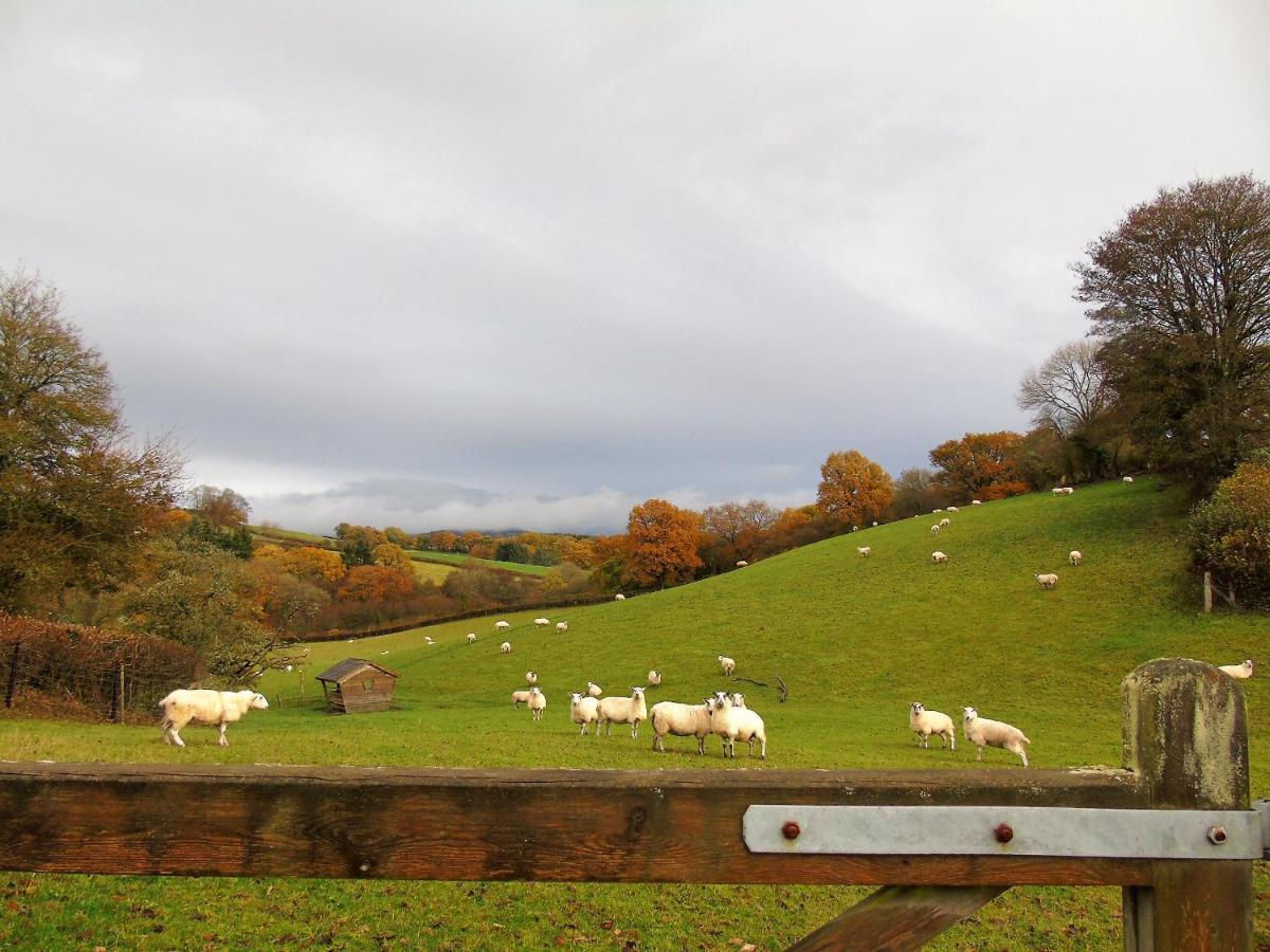 Gwilym'S Stable Apartment Builth Wells Luaran gambar